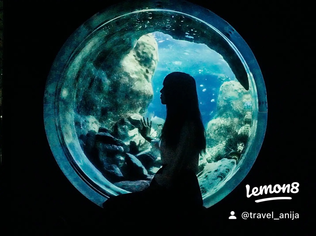 Thumb 76c12bc7 c076 4c53 8c90 3c7784030b30