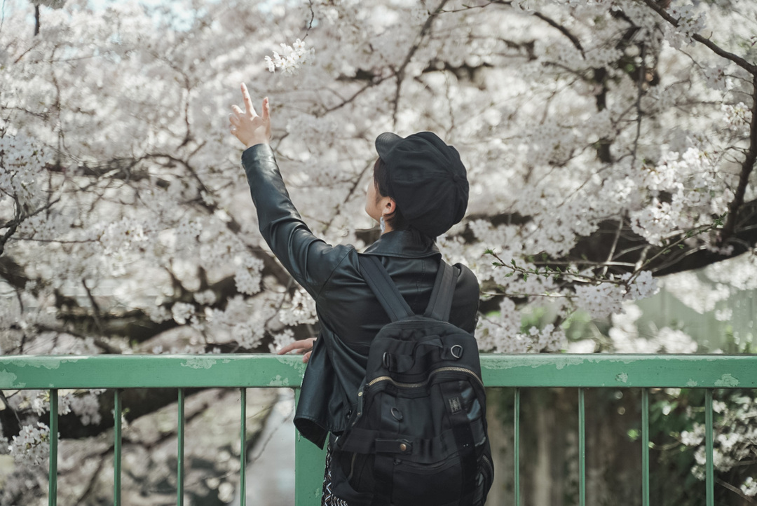 Thumb bc2576d1 341d 432c ad9a 845fc75c10dc