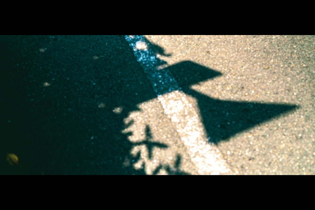 Thumb f729f086 1d8a 4bcd a439 f2d892f0fa30