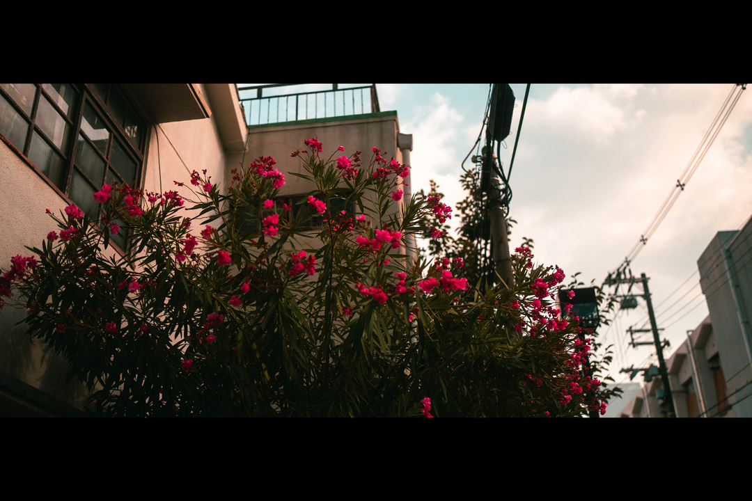 Thumb 33c8ec07 3463 413b bfbc 85907570a227