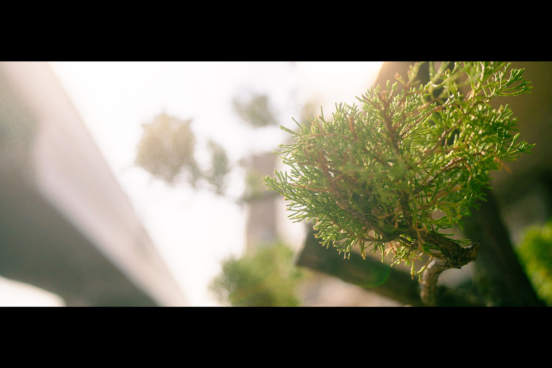 Thumb 19726259 1a89 45b1 b59a 9783a4d69aed