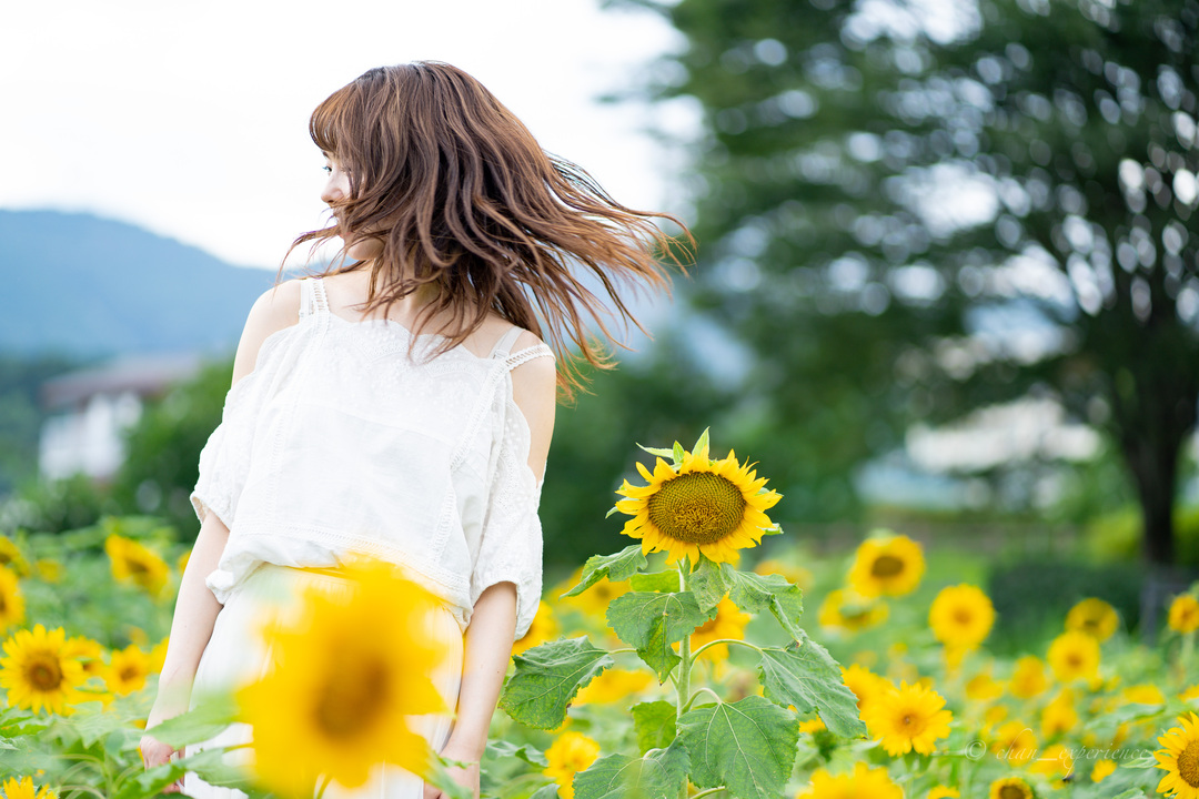 Thumb 66079c97 b5c5 46e8 b63d 8b3a559d10a6