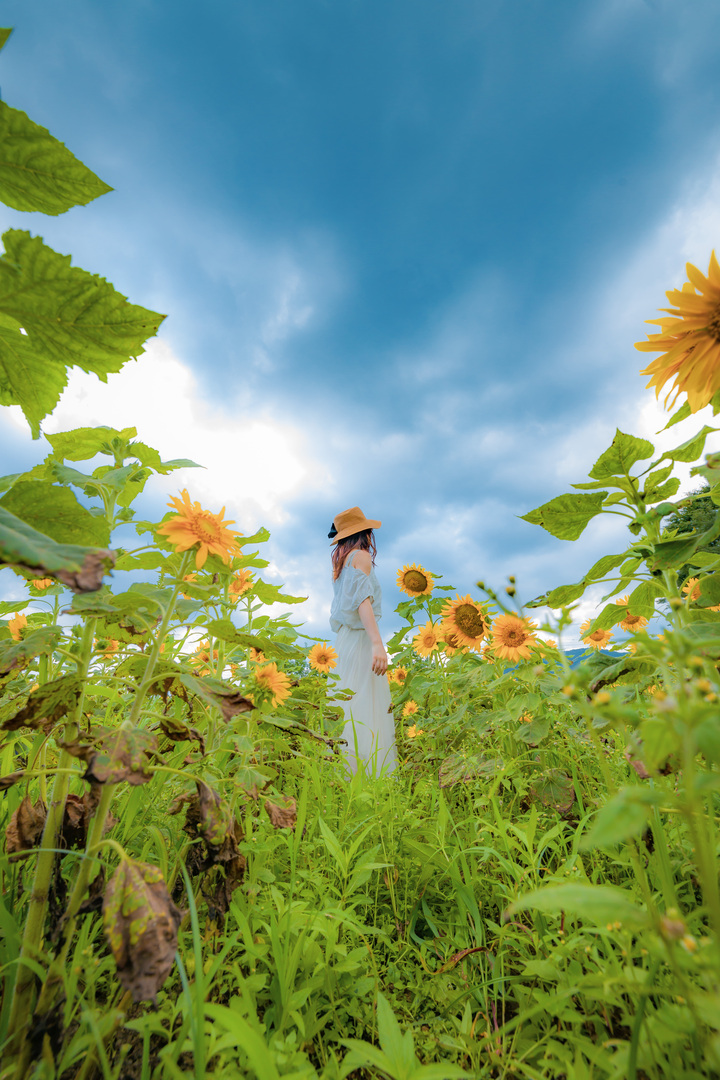 Thumb 50d843be 1f6f 4721 8016 5a99cf6517da