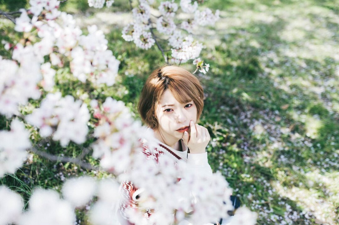 Thumb c27077df d42a 40a8 b243 e617875dd94c