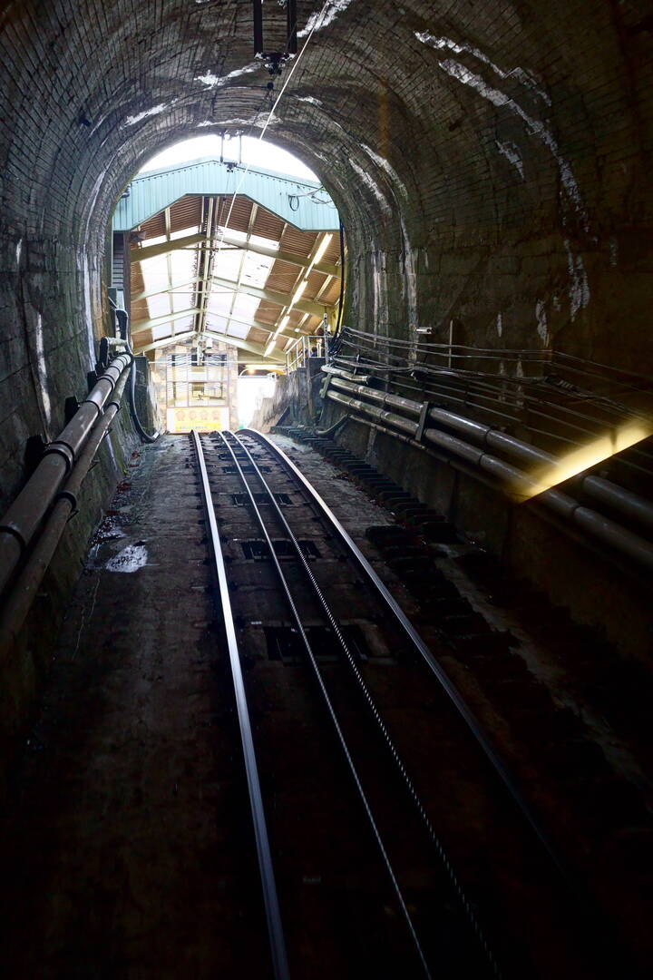 Thumb 90a53bf1 2f63 4d81 b1cc e602e7e14e95