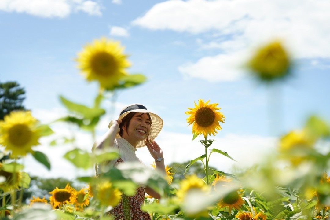 Thumb d132255b f5bf 4b1b a67b 2ec49b4adf81