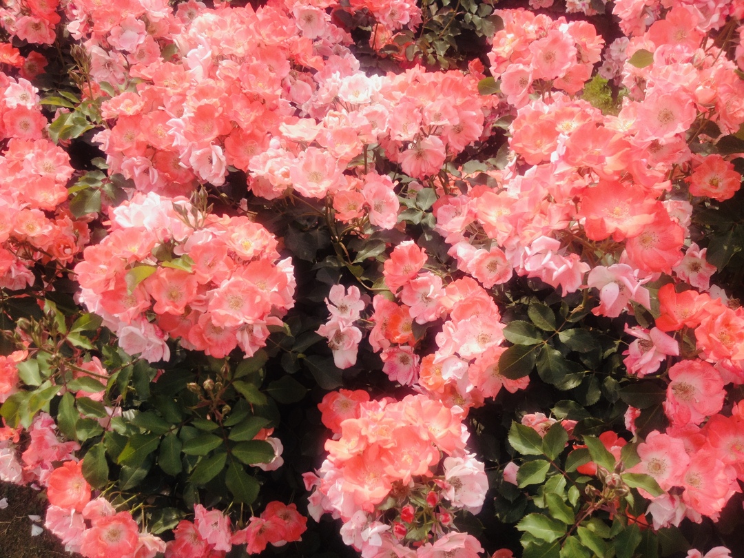 Thumb 02366898 5d8e 4f25 aa00 7969501104e7