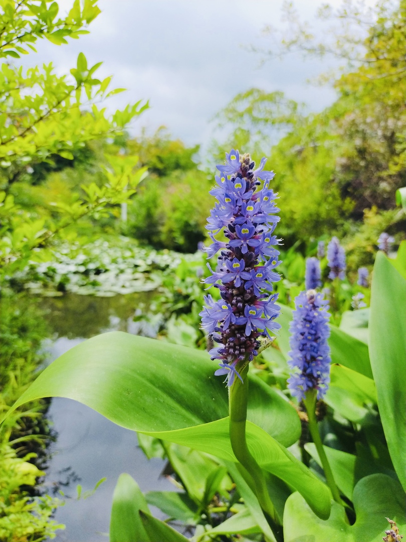 Thumb 859ea1d9 93b2 47fc 8c28 2841dfcf3af8