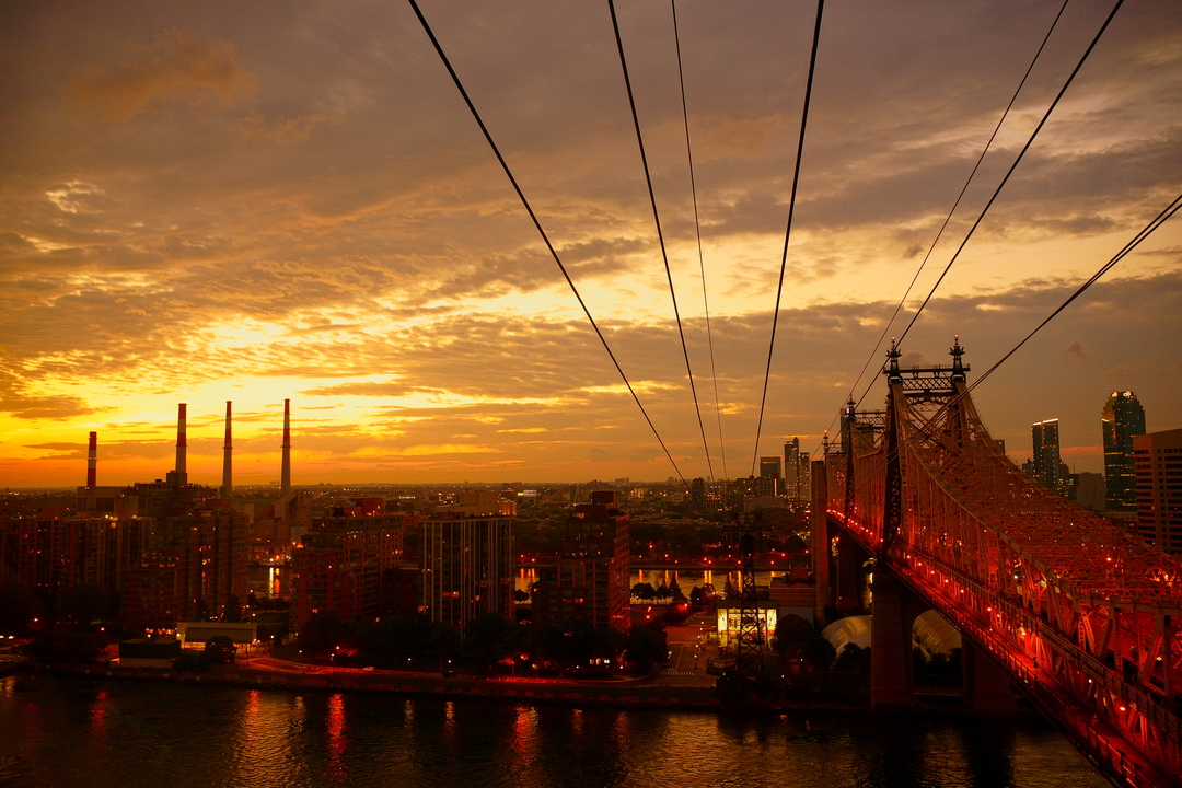 Thumb 80156694 2d3c 4d3f aa93 1c86b8a94826