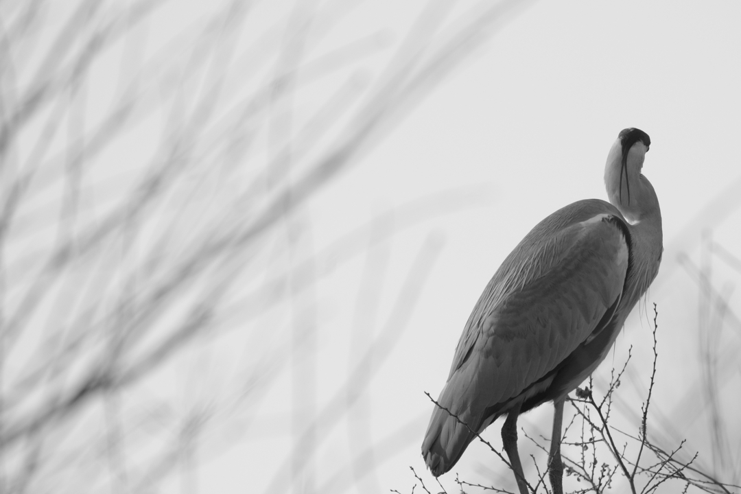 Thumb 6548a43c 2f8c 468a bfd6 7b6a13ae15fb