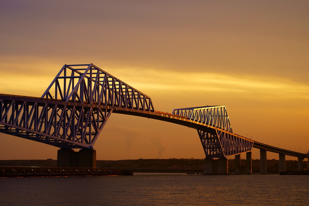 Thumb bea1a846 ea49 4a07 ad08 398baffef909