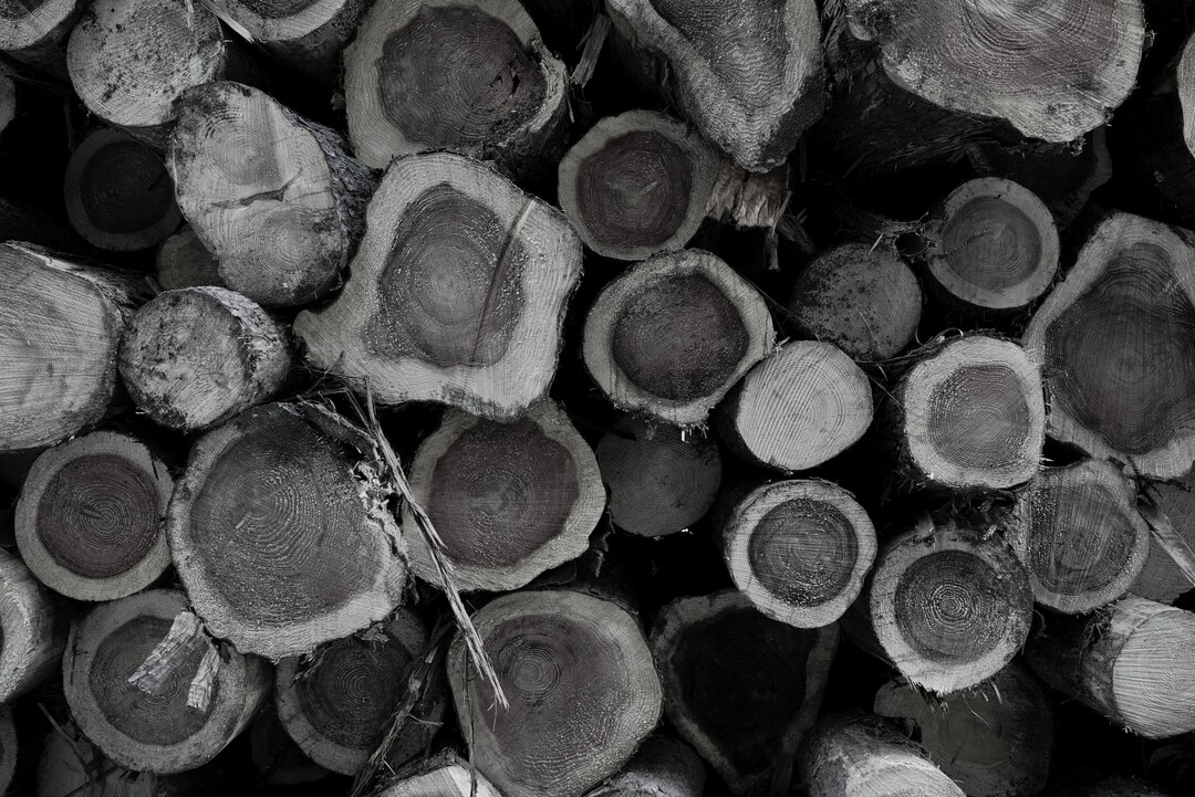 Thumb ee95b2bf 7237 4f67 9e8d 0f06feb7c84e