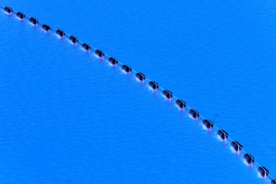 Thumb 105c9932 0158 4d02 868f d9b6a897c3bb