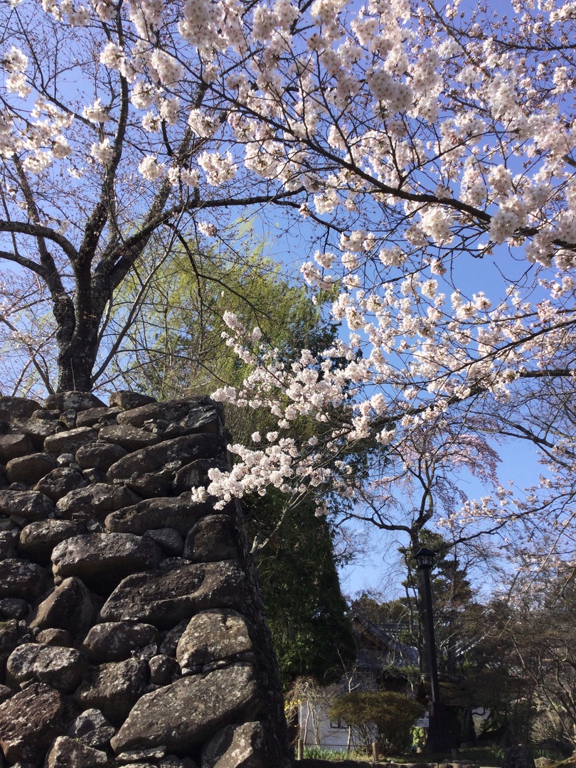 Thumb 615ea3a1 13ef 445c 8579 8c5c14b20852