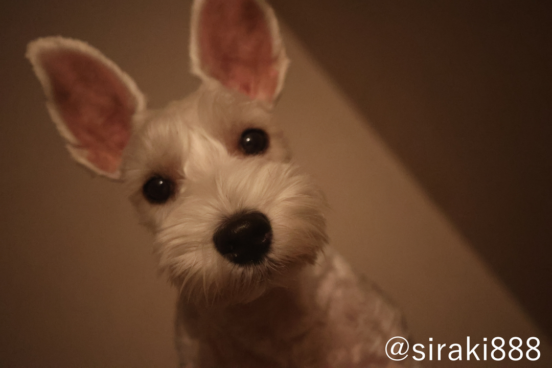 Thumb de8c002a c277 4a9d ac9c 1c1a11fab513