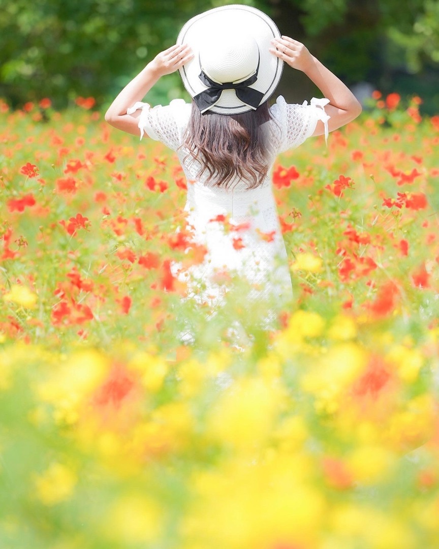 Thumb a11369f3 60c2 41ea b33e 1f0f61961fb4