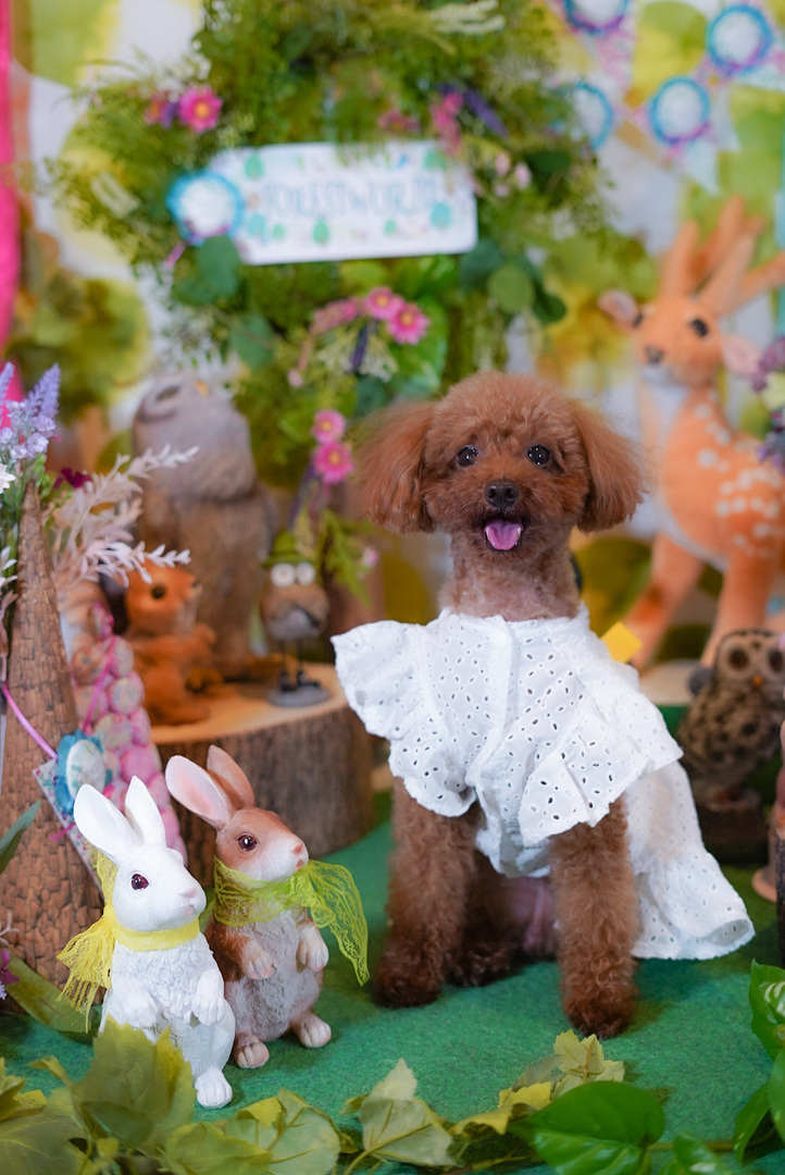 Thumb f420f8c2 b398 4257 9710 aaebf652d5ad