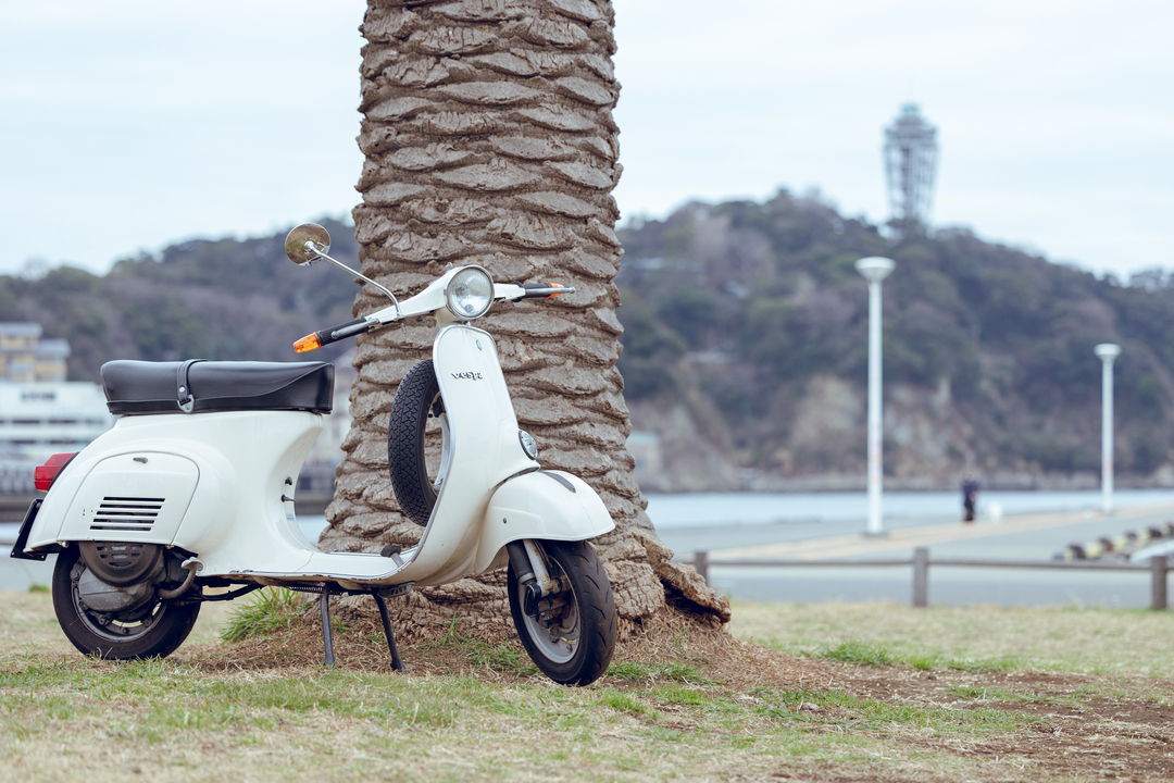 Thumb dcc1e332 4cf1 4d93 88a2 a15710311263