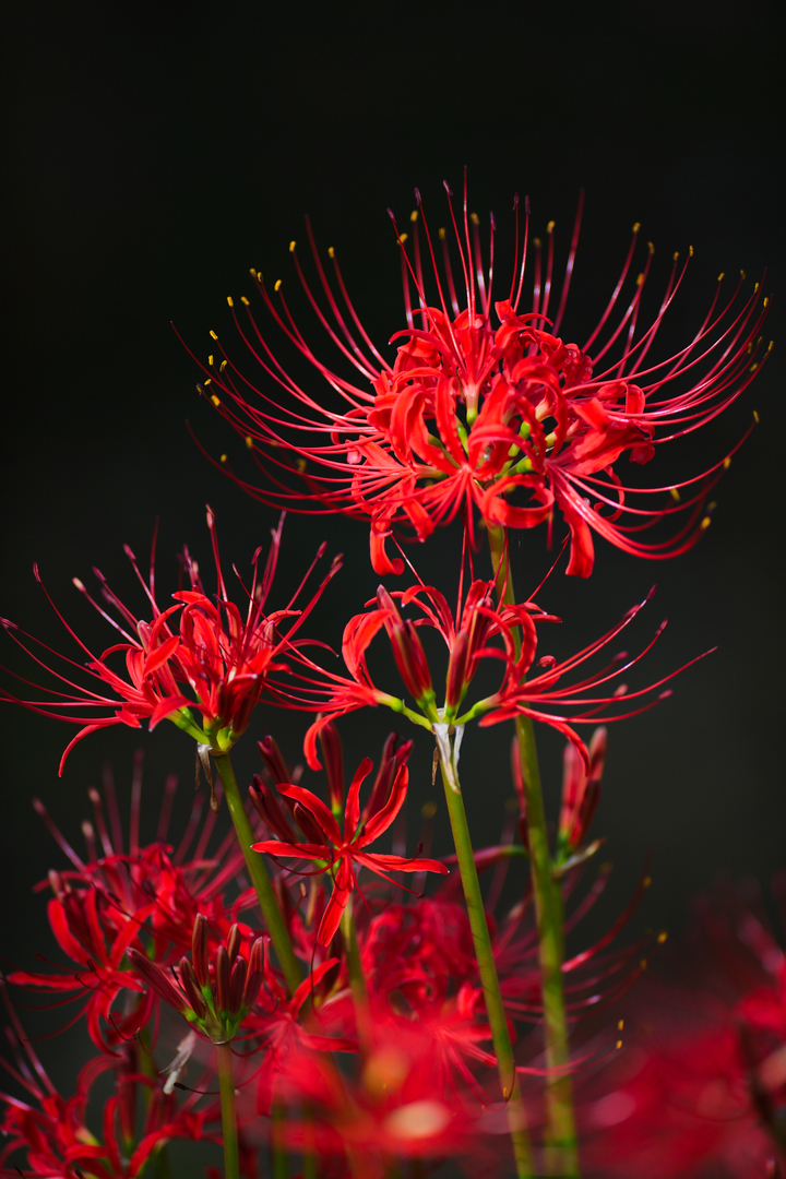 Thumb b0eb0d40 a38b 4942 9657 031162453706