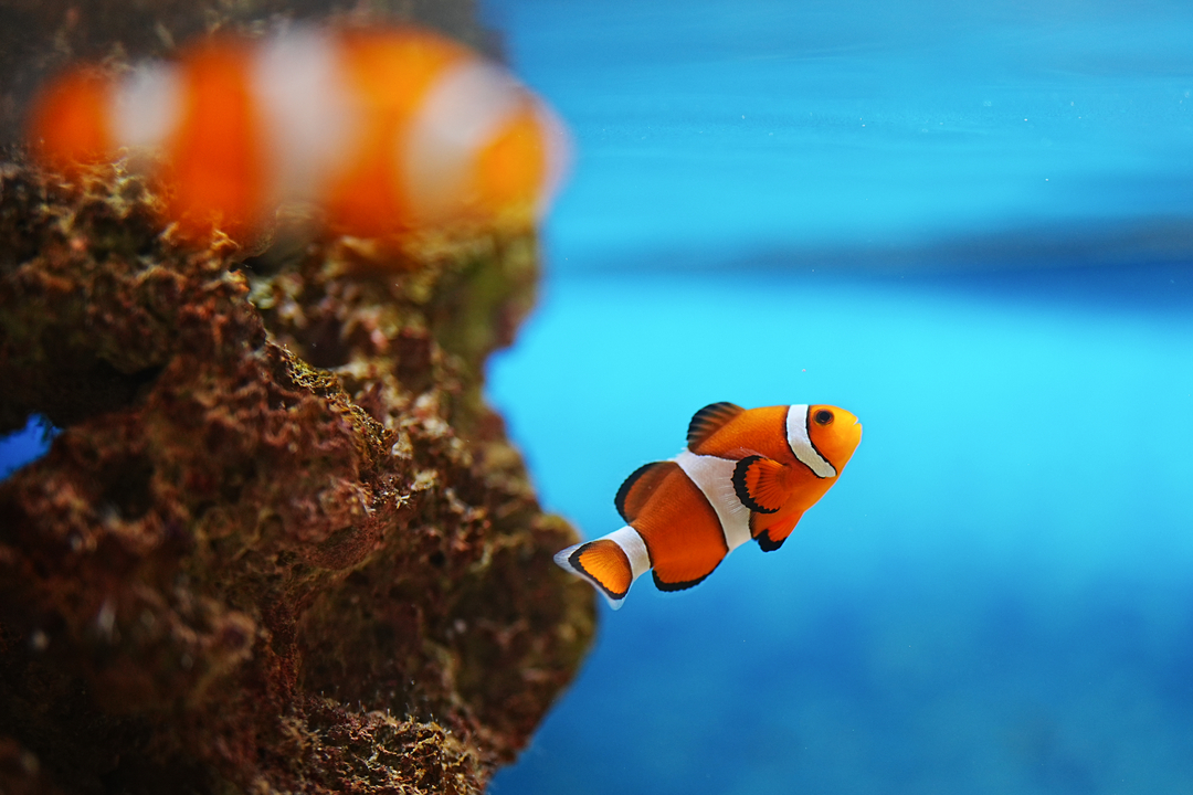 Thumb 46b4ac97 a27e 447c b1fd 3d1f47556c1f