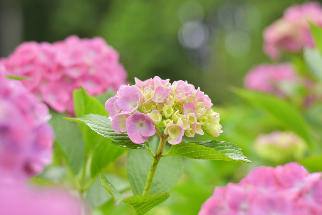 Thumb 34b580a1 57a7 42df bc5f 3ed0d523e85f