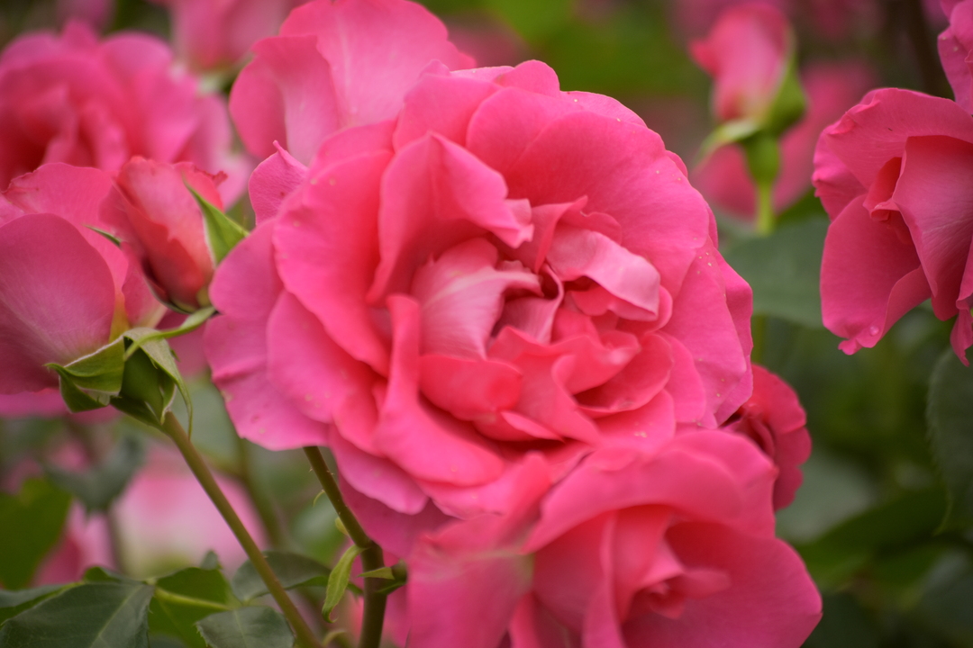 Thumb 46ab181e 5c04 47d3 92c4 7e551a2ddb11