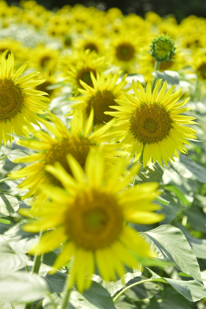 Thumb 772b9b85 0182 47ac 887d 5980f24e06a3