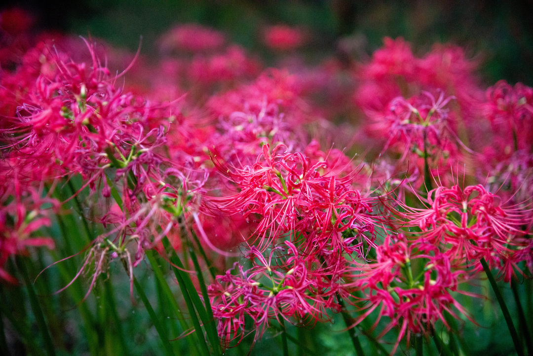 Thumb b1d559a8 ce5d 4acd 964a 3b4cf8179b81