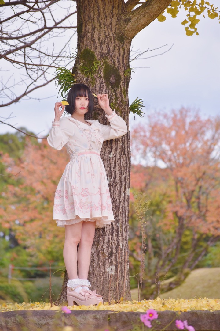 かなめのページ/モデル