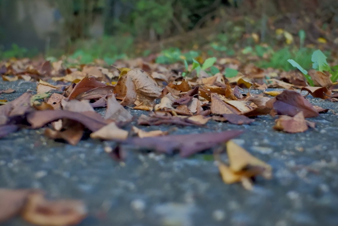 Thumb d56d372b b3e4 45e2 8c51 8315ac0e8d4d