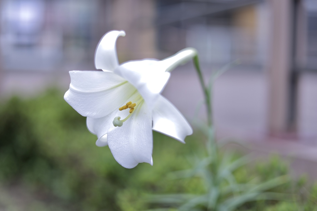 Thumb 50e66f26 196b 4d10 81d1 e2d75903ca11