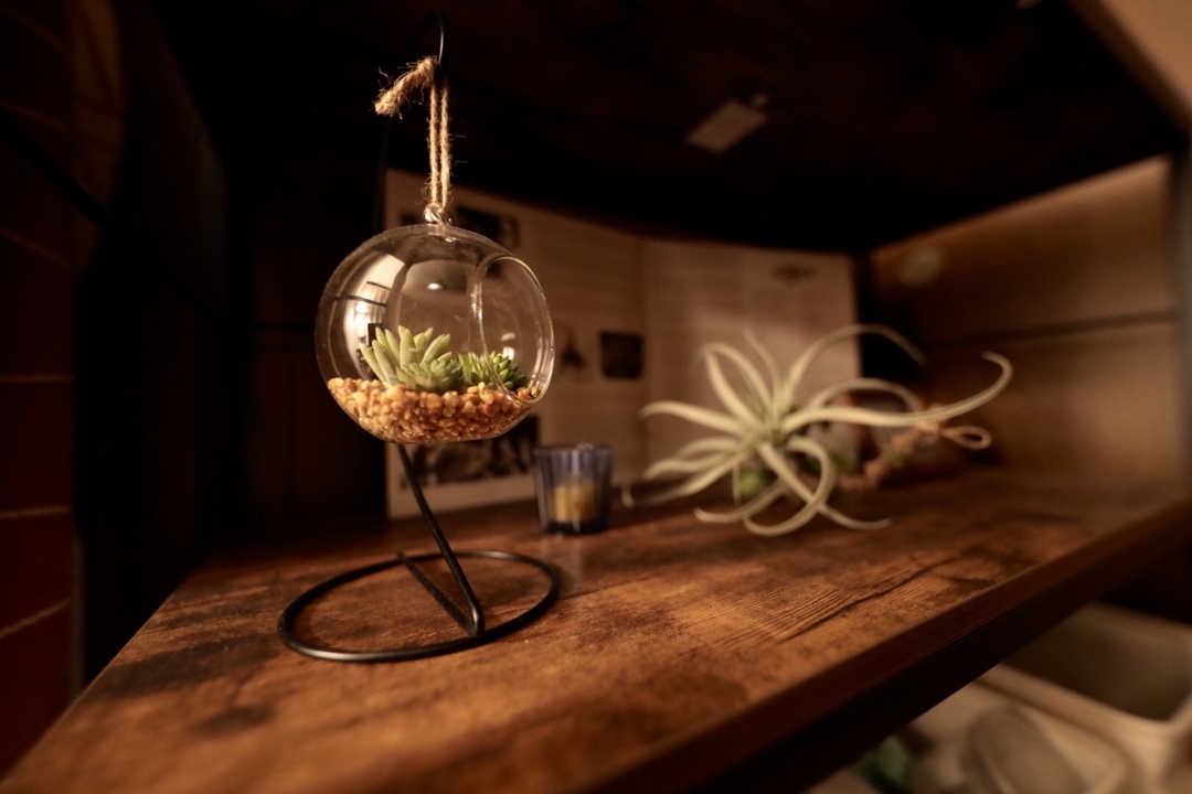 Thumb 6ed1082c bf1f 44f4 b7dc 56528078659c