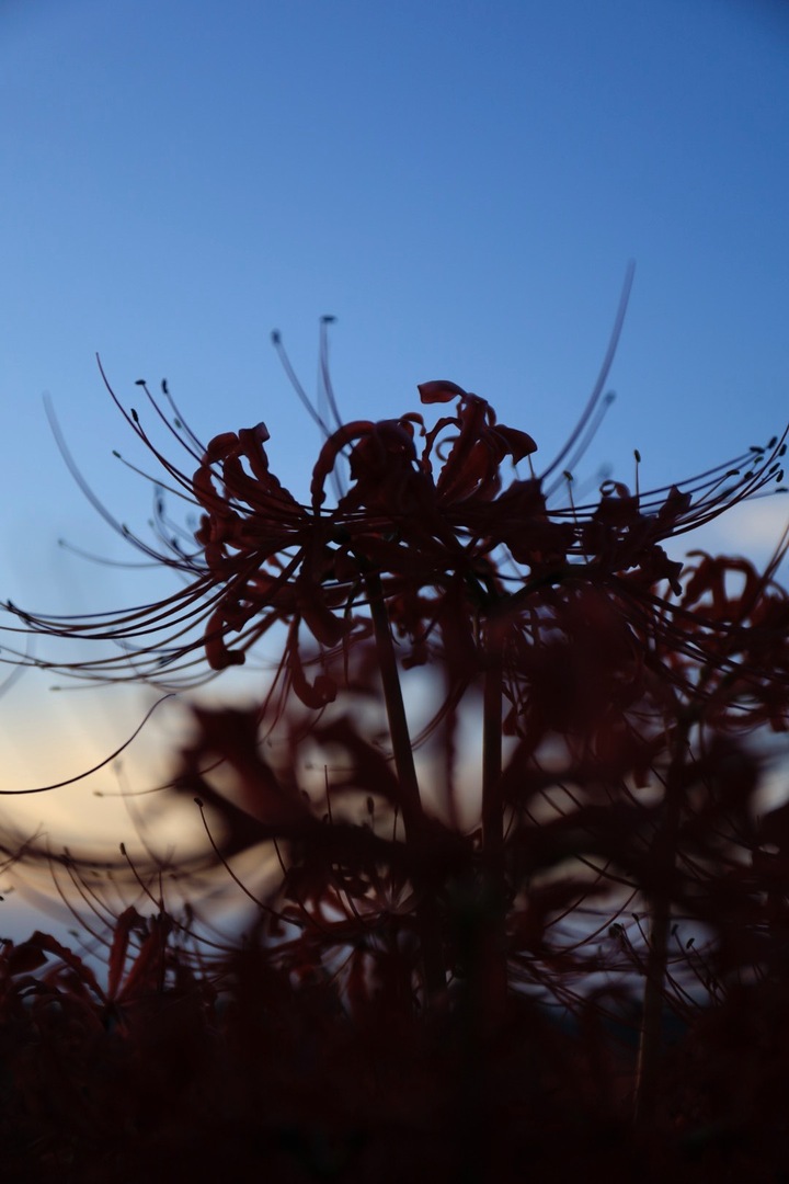 Thumb 5f9173ef 44c7 4bc7 980b 5aaeeb81af65