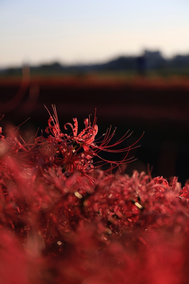 Thumb a763c0f0 e0b6 49d5 a7f7 46dd9693b262