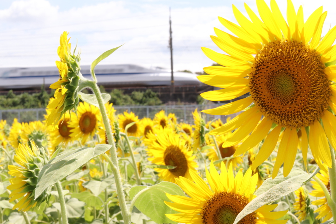 Thumb d77fb293 0833 4358 bc62 dfcdaccc9d45