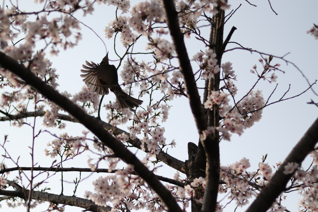 Thumb c20fdfa2 2382 468a 981c 14712b15ee4a