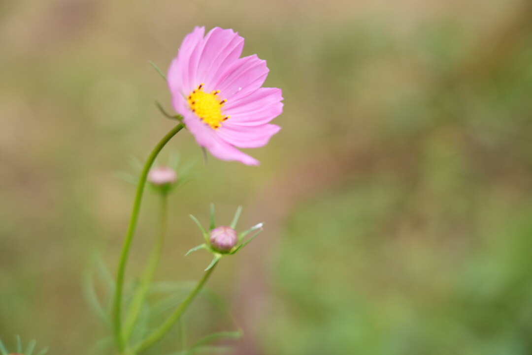 Thumb 42c4ffc2 12b0 49f9 921b 5c53dd203580