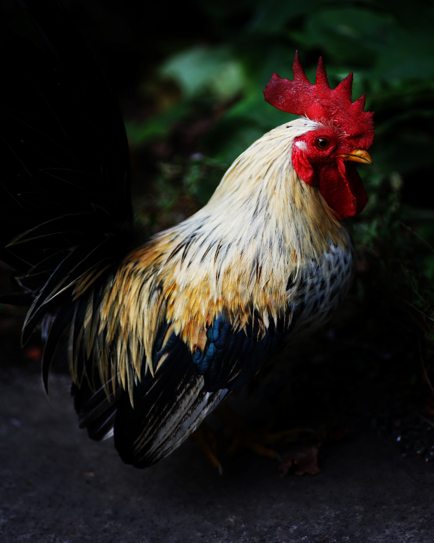 Thumb d2096188 07e9 4830 81e5 cc90033af643