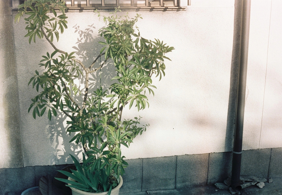 Thumb 27f5872b a119 4a4e bba9 4ba2c056e468