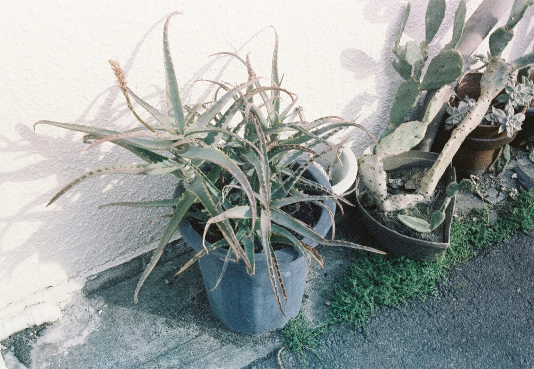 Thumb 473307fd 6863 408d b50e 8088863ab878