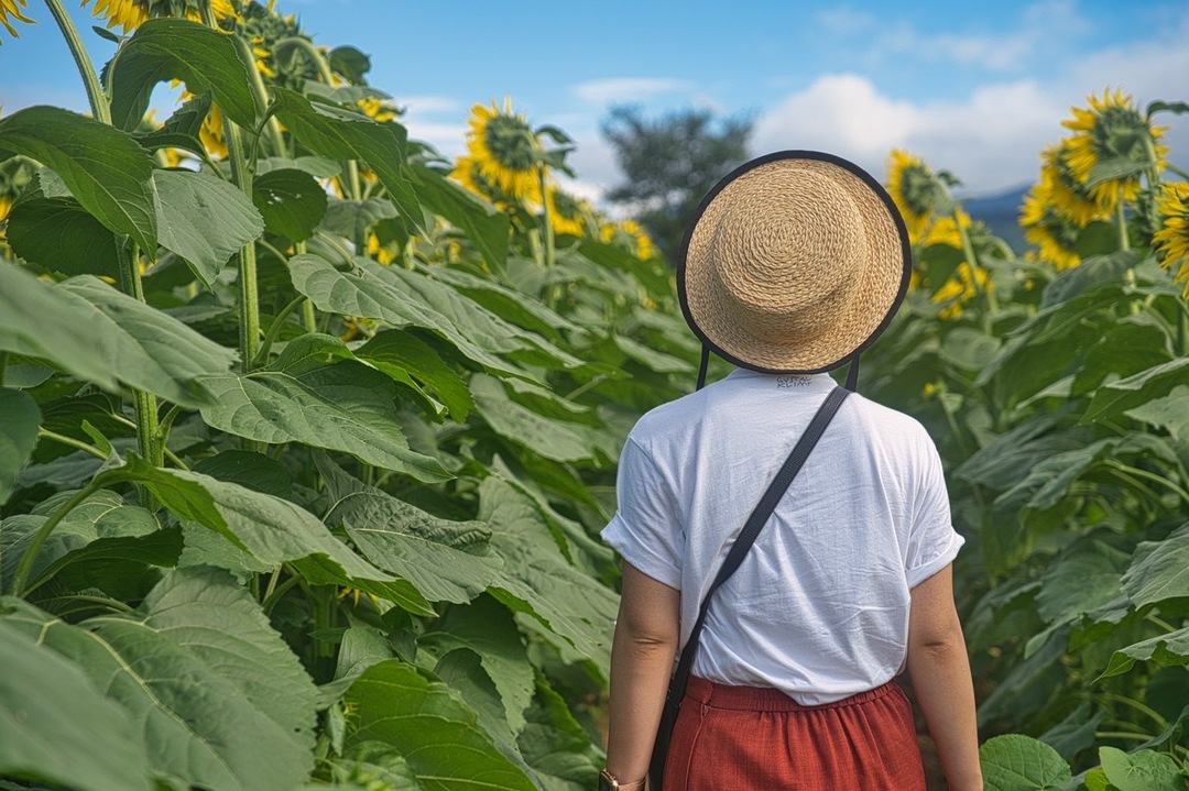 Thumb 4fd27bd6 9dbc 4e20 8a9c 1fa2b494ad72