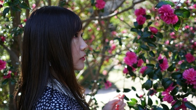 Thumb 17884151 33e5 4ae2 8608 e1abdcf3fdf5