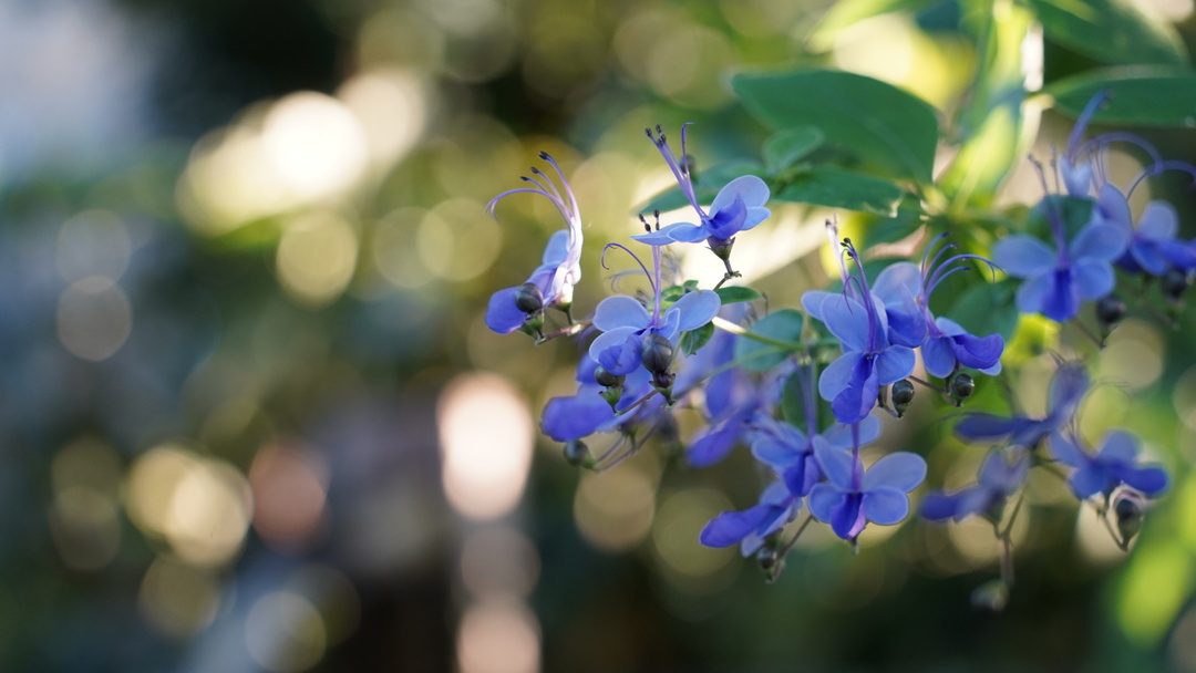 Thumb 8c35c01e 342a 4d6e a66f 5339eeb22ffb