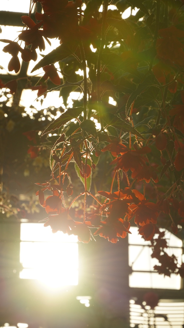 Thumb 246c2096 c462 45d2 9f3e 0aea3b9f0c7b