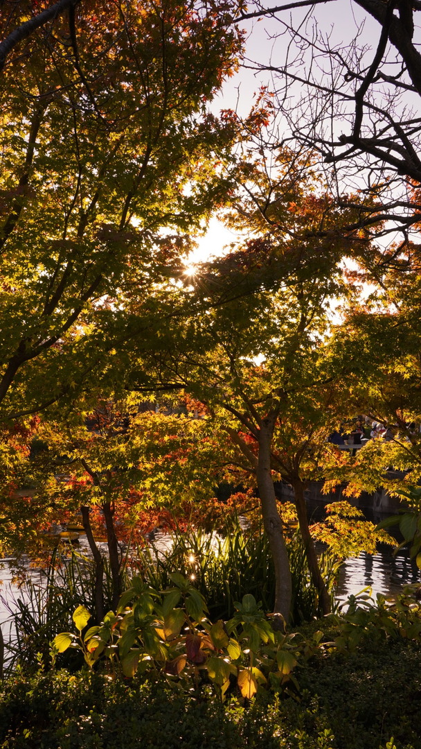 Thumb 7108d33f dd50 4ec5 9339 87498c42fd49