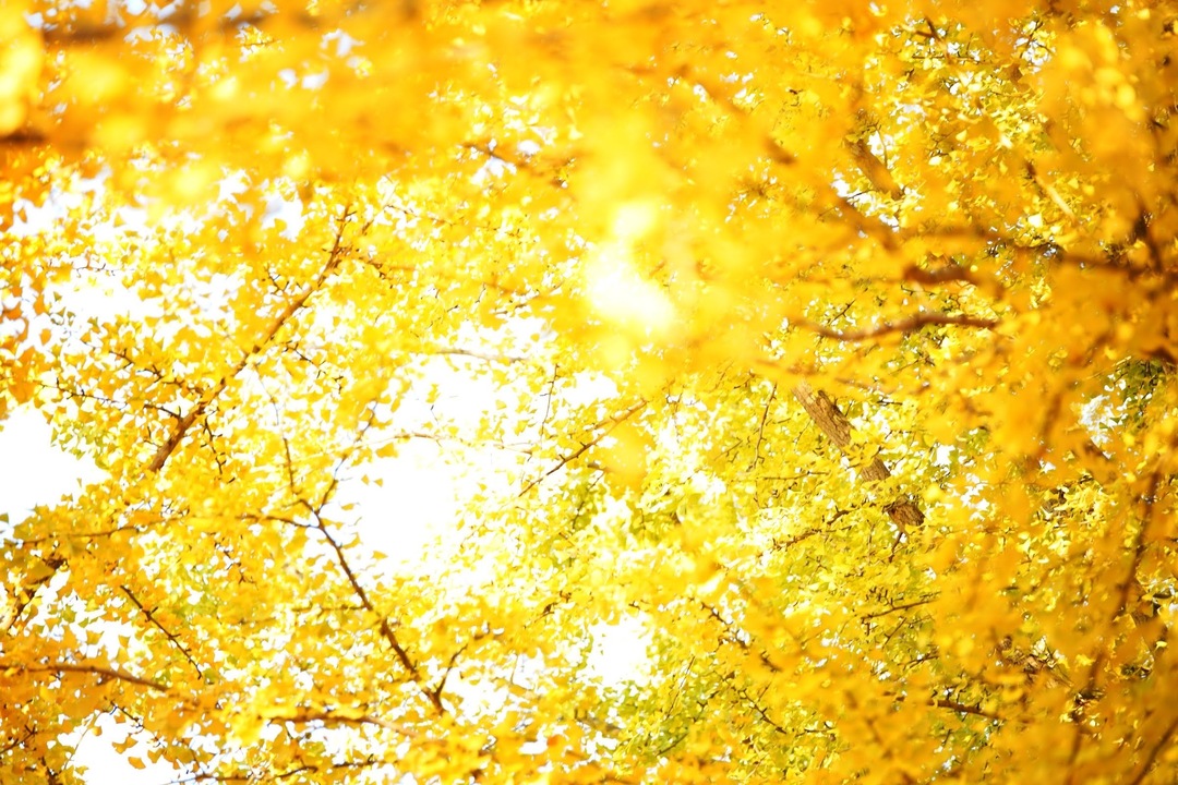 Thumb 4dd3471c f768 4635 a14a 2b116f73966f