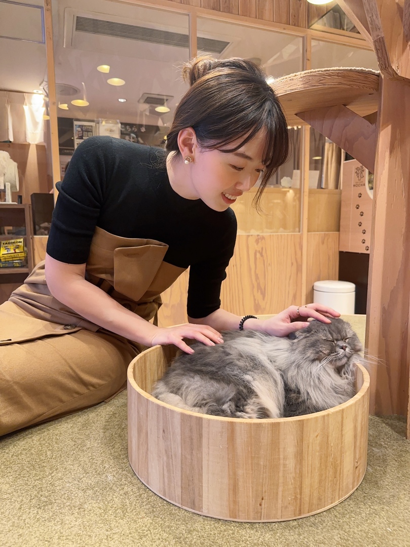 Thumb 2de9da55 86f2 48dc 8bc7 ddc3919544b0