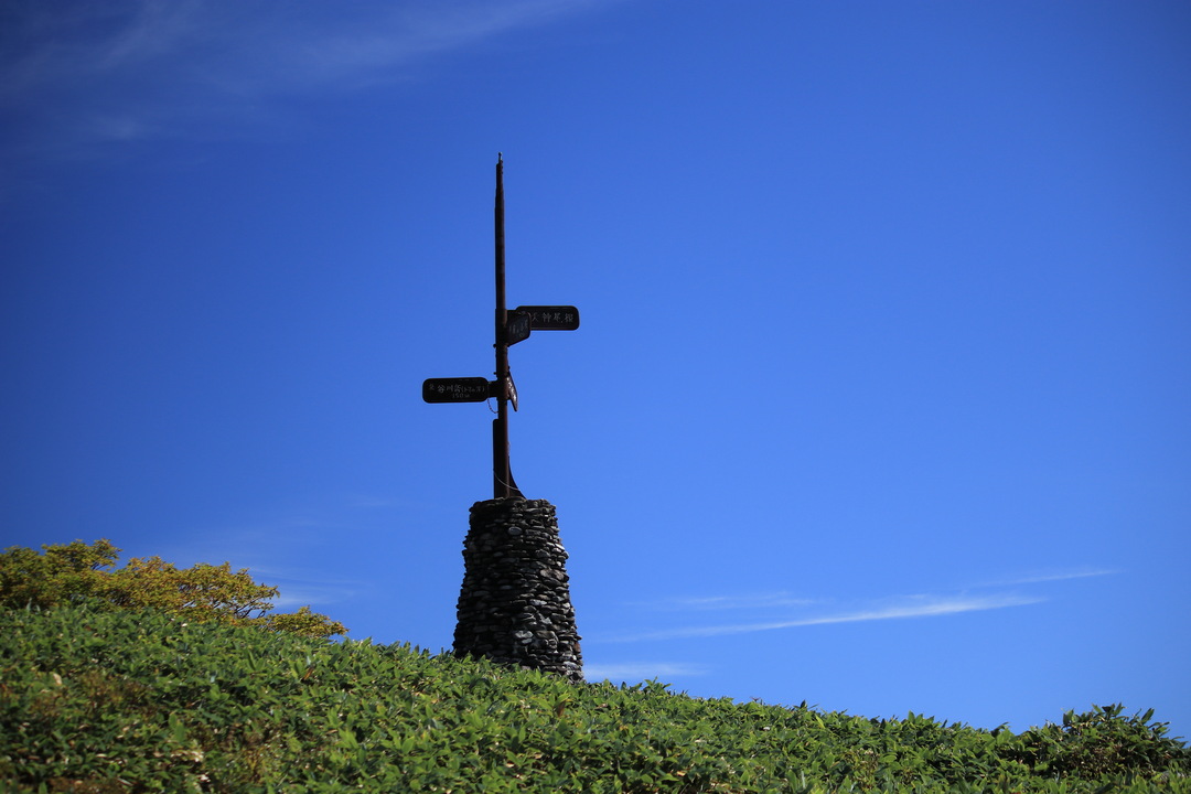 Thumb 67d8cec1 c0e1 479b ae8c 0cba5168e7a5