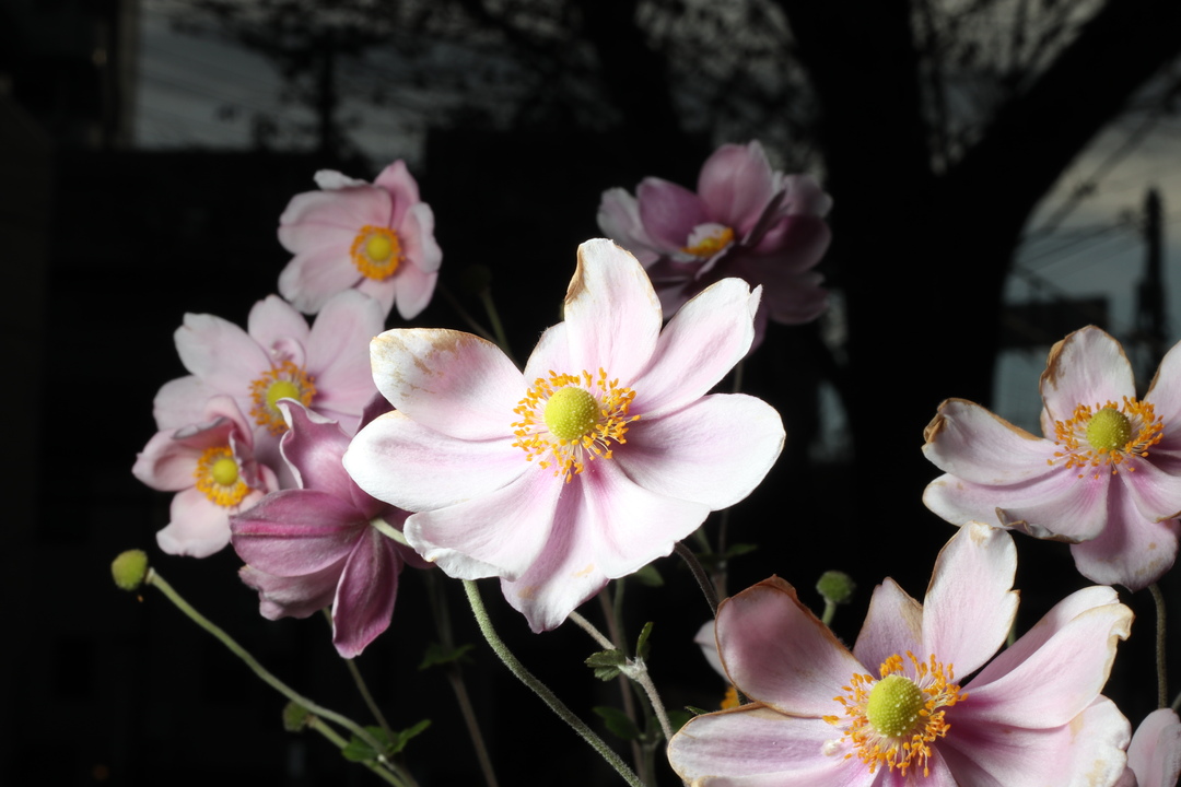 Thumb d3eaaf04 ebec 459f b364 17391cc55357