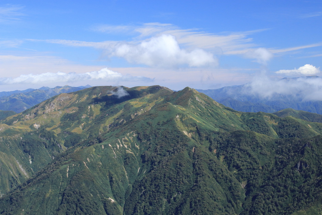 Thumb 925e9f38 d88d 4bee 8007 5a5f0fe05ac2